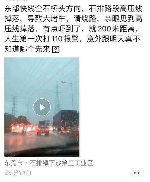 东莞爆料最新新闻今天视频,视频揭示惊人真相！