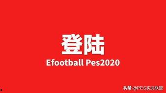 国际服最新活动爆料,惊喜连连，福利满满，不容错过！