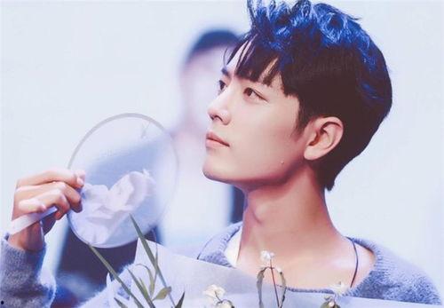 肖战八卦爆料大全最新,娱乐圈风云再起，真相大白！