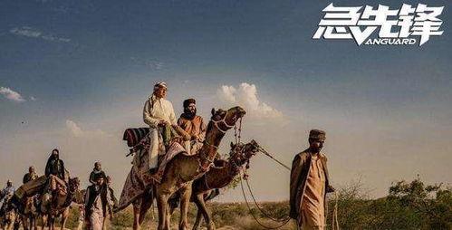 急先锋最新爆料