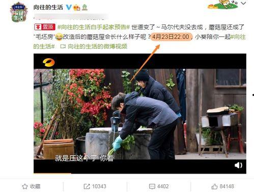 向往五最新爆料