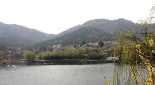 十梅庵今日爆料了吗最新消息,今日热点事件深度解析”