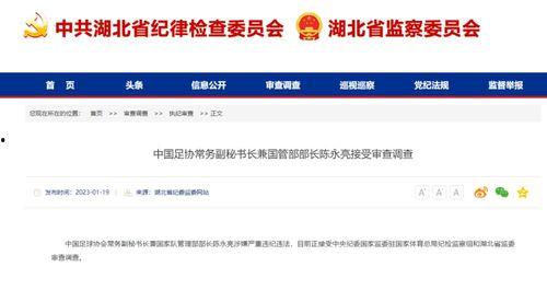 华信煤气最新爆料信息查询,揭秘行业内幕，深度剖析市场动态